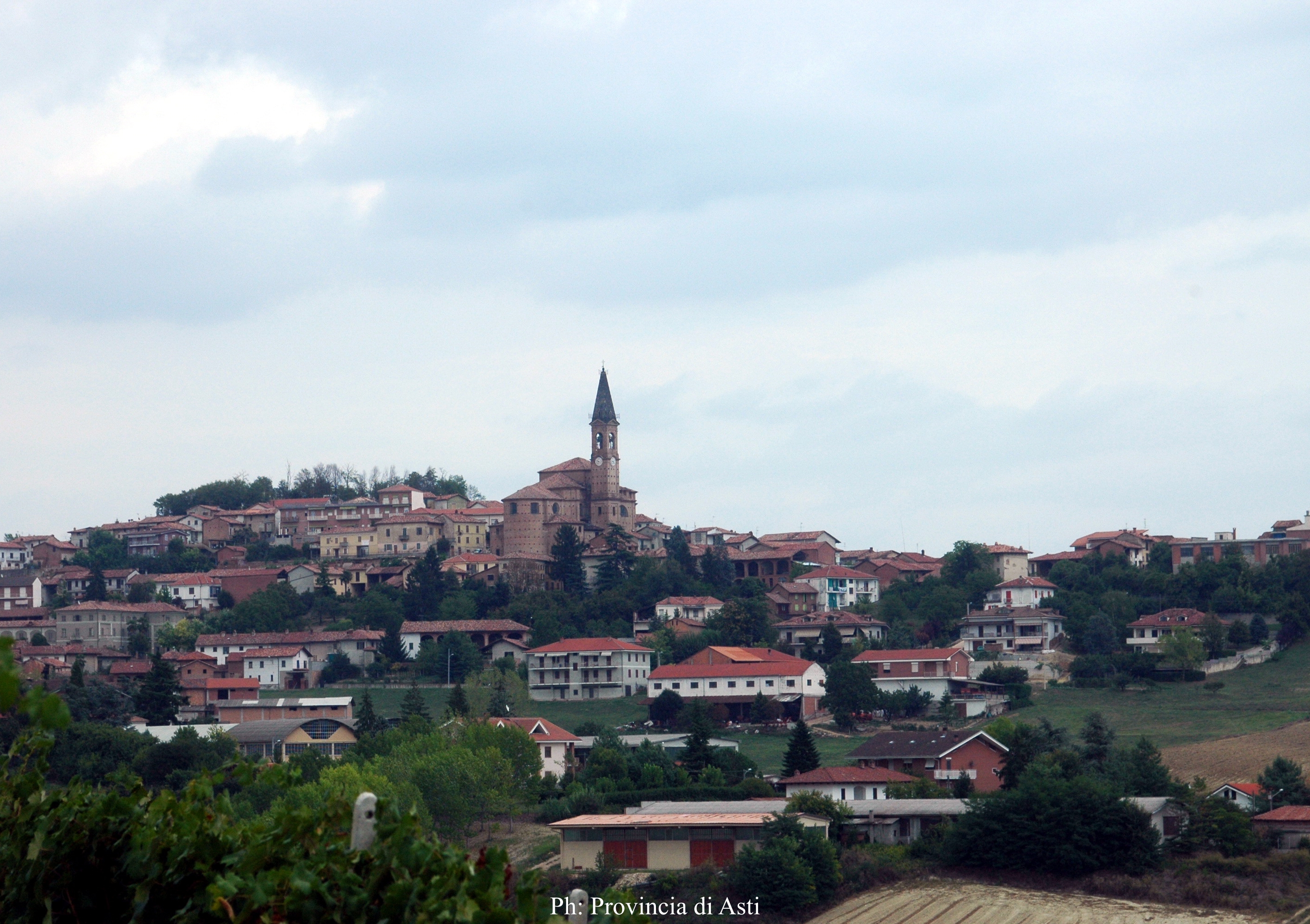 Paesaggio di Tonco (11)