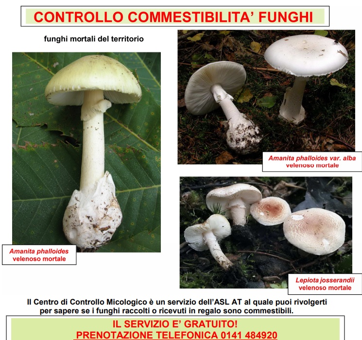 Controllo commestibilità dei funghi - Servizio gratuito dell'ASL